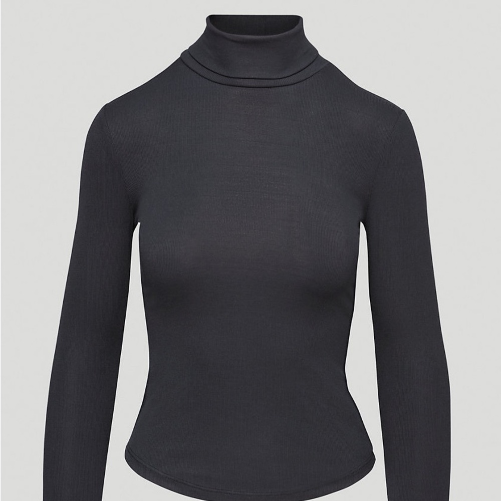 Aritzia Sunday Best freshman turtleneck
